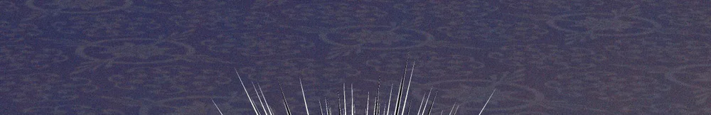 RẮN NUỐT LỰU Chapter 29 Trang 90