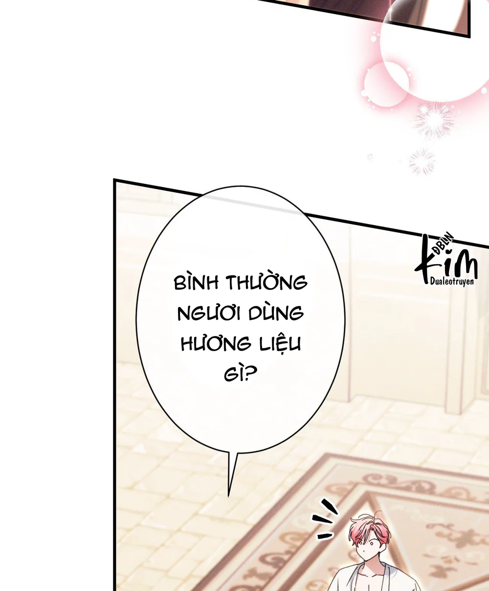 RẮN NUỐT LỰU Chapter 32 Trang 42