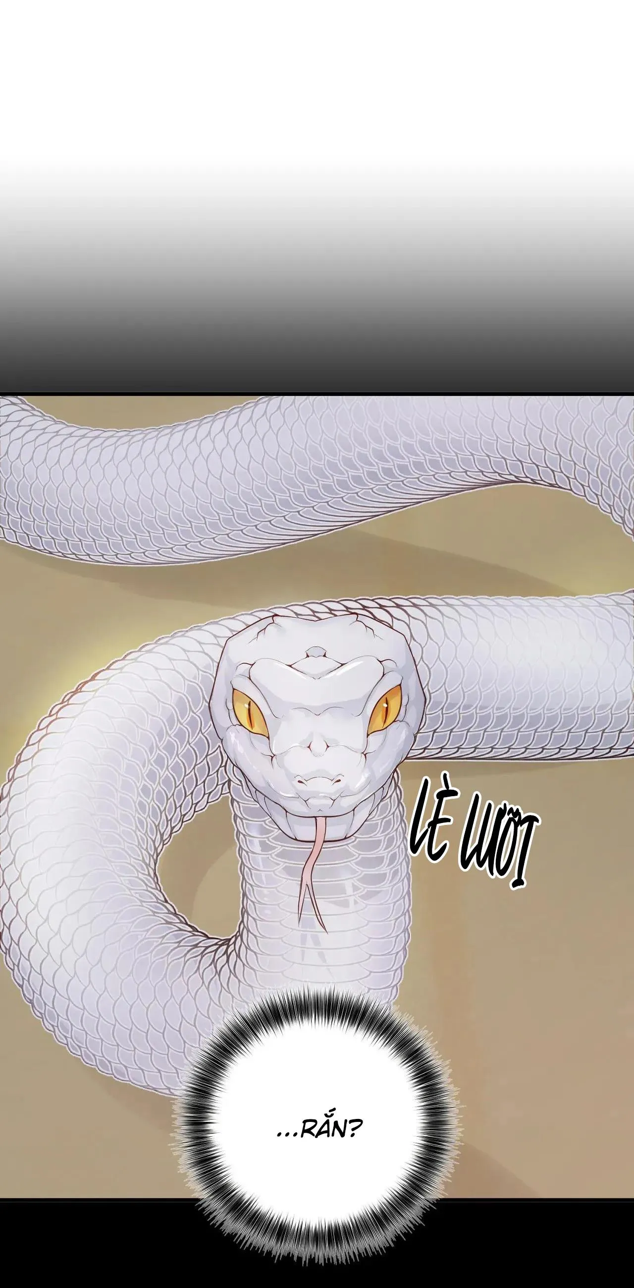 Rắn Và Ân Nhân Chapter 1 Trang 9