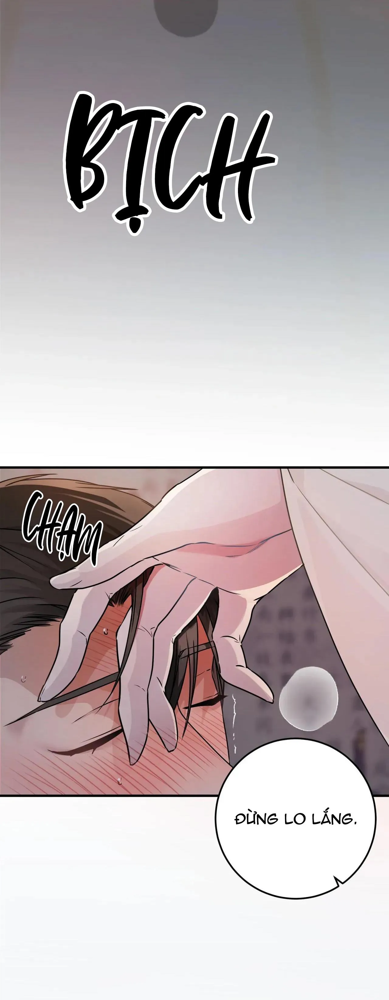 Rắn Và Ân Nhân Chapter 1 Trang 15