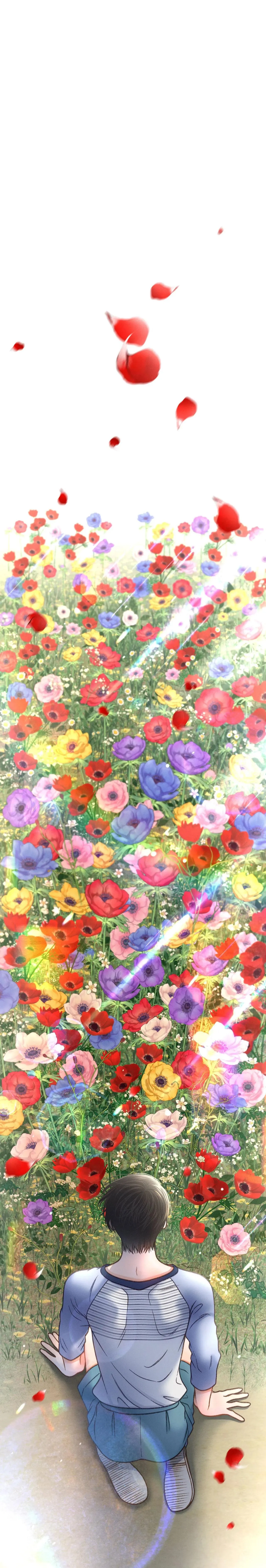 RẠP CHIẾU PHIM ANEMONE Chapter 49 Trang 36