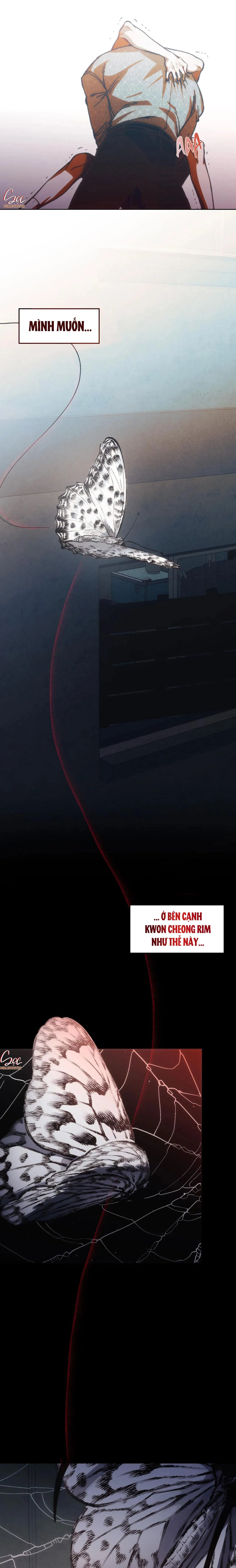 RED MANSION Chapter 3 Trang 28