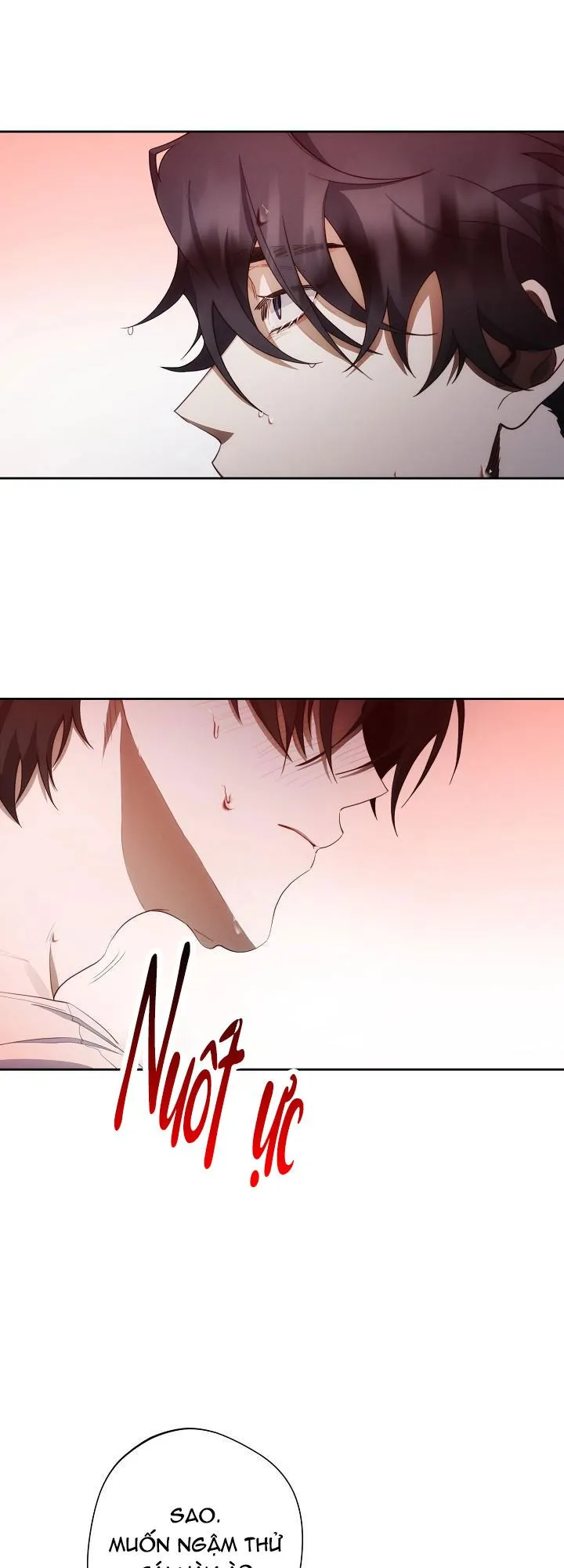 RED MANSION Chapter 4 Trang 40