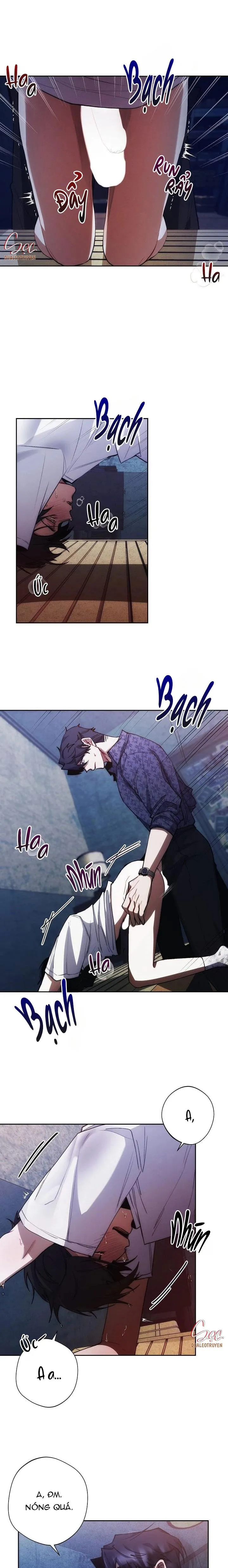 RED MANSION Chapter 9 Trang 8