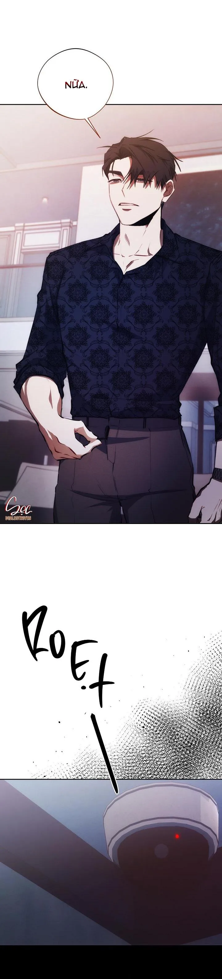 RED MANSION Chapter 22 Trang 13