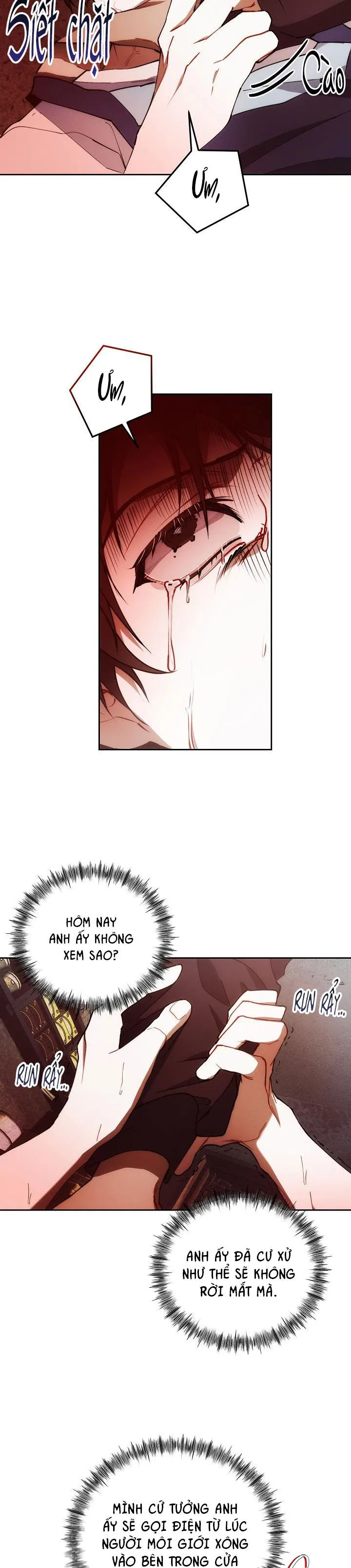 RED MANSION Chapter 27 Trang 15