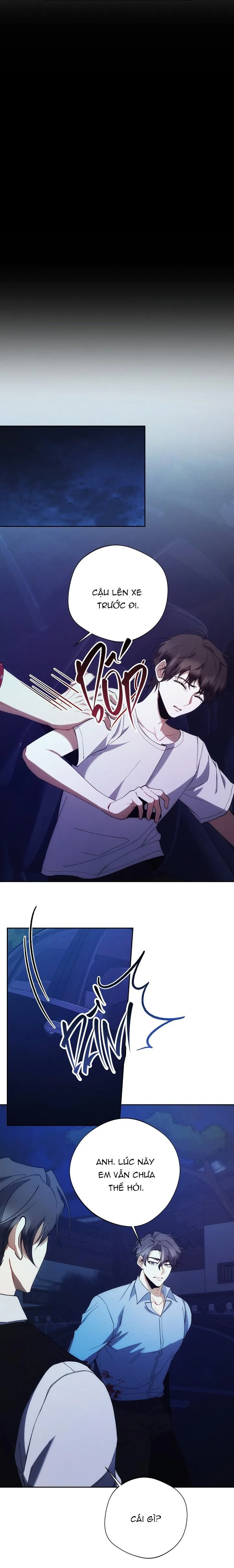 RED MANSION Chapter 28 Trang 15