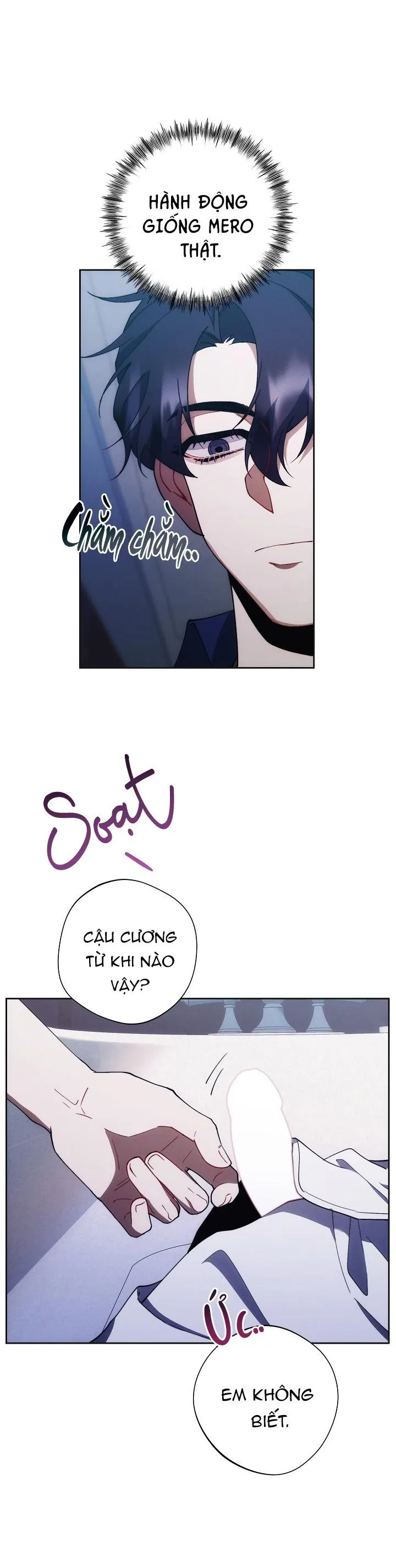 RED MANSION Chapter 40 Trang 21