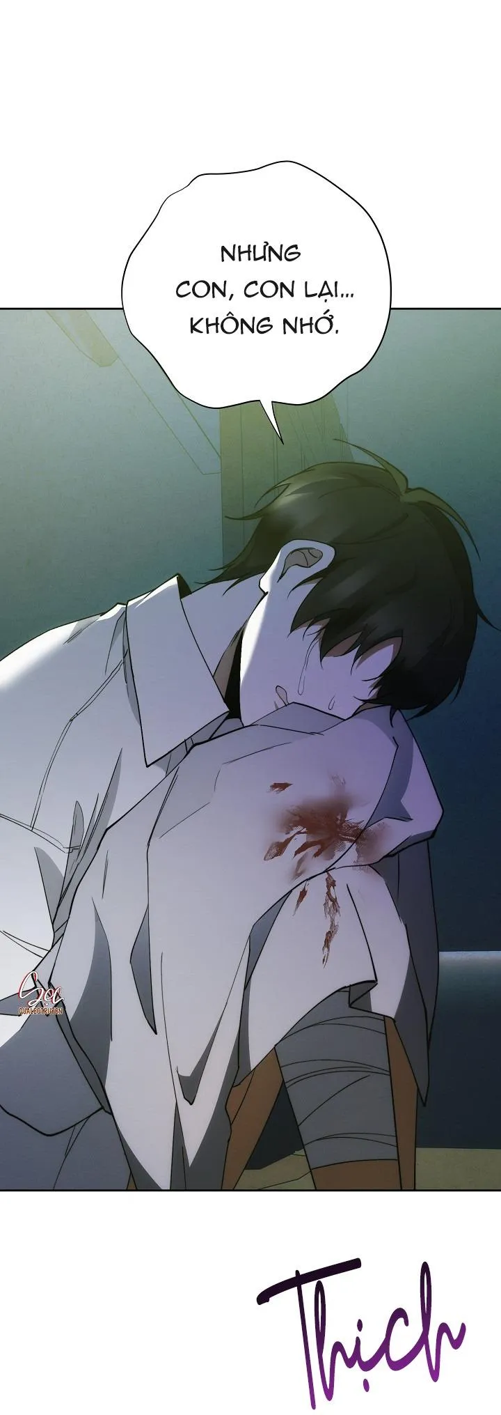 RED MANSION Chapter 47 Trang 14