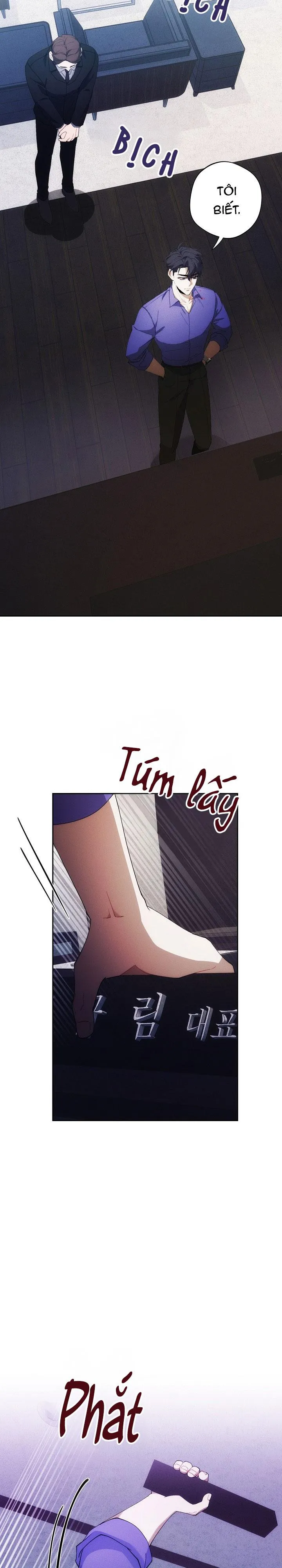 RED MANSION Chapter 48 Trang 12