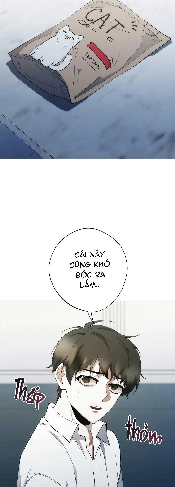 RED MANSION Chapter 49 Trang 64