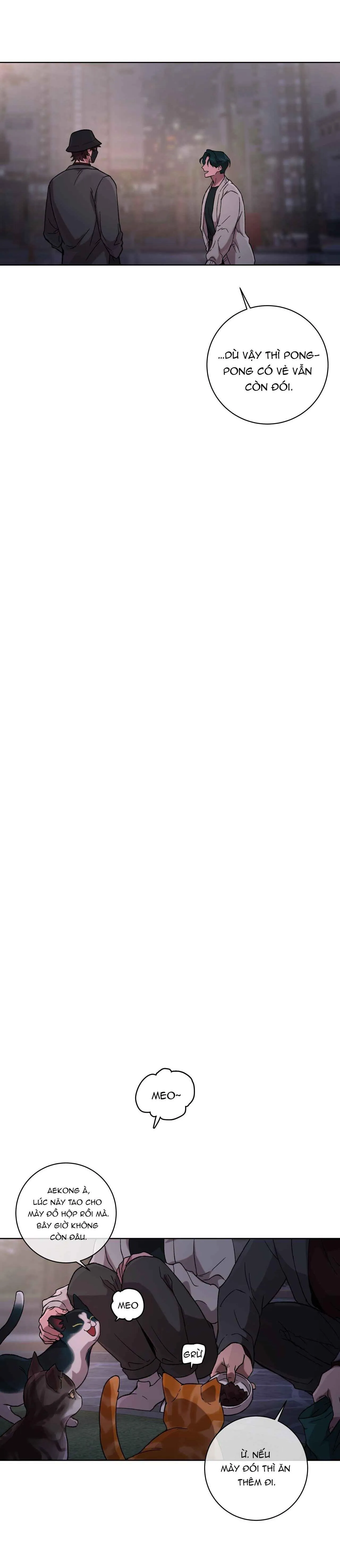 RELEASE YOUR PERSONA Chapter 2 Trang 3