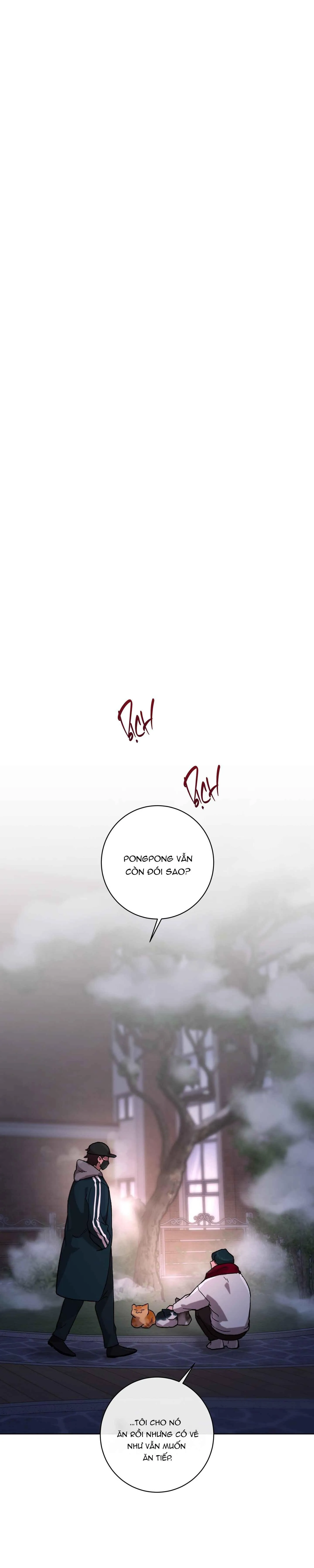 RELEASE YOUR PERSONA Chapter 9 Trang 44