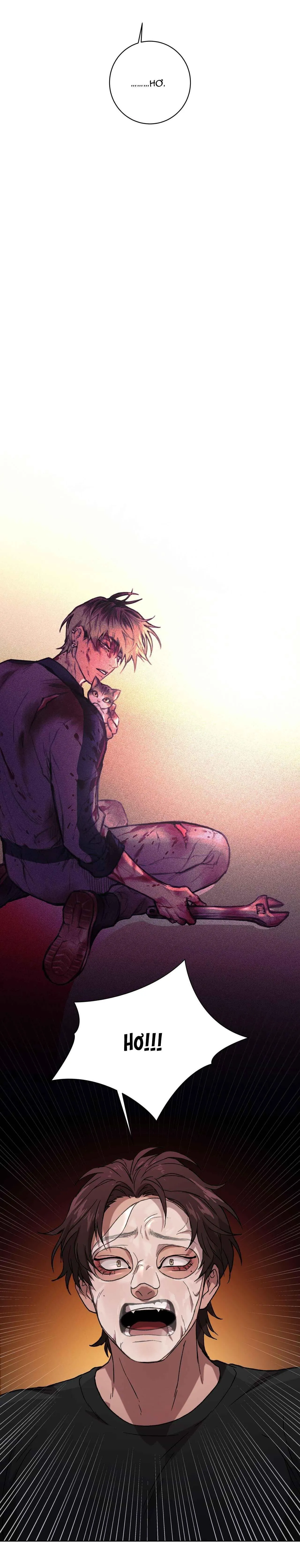 RELEASE YOUR PERSONA Chapter 1 Trang 12