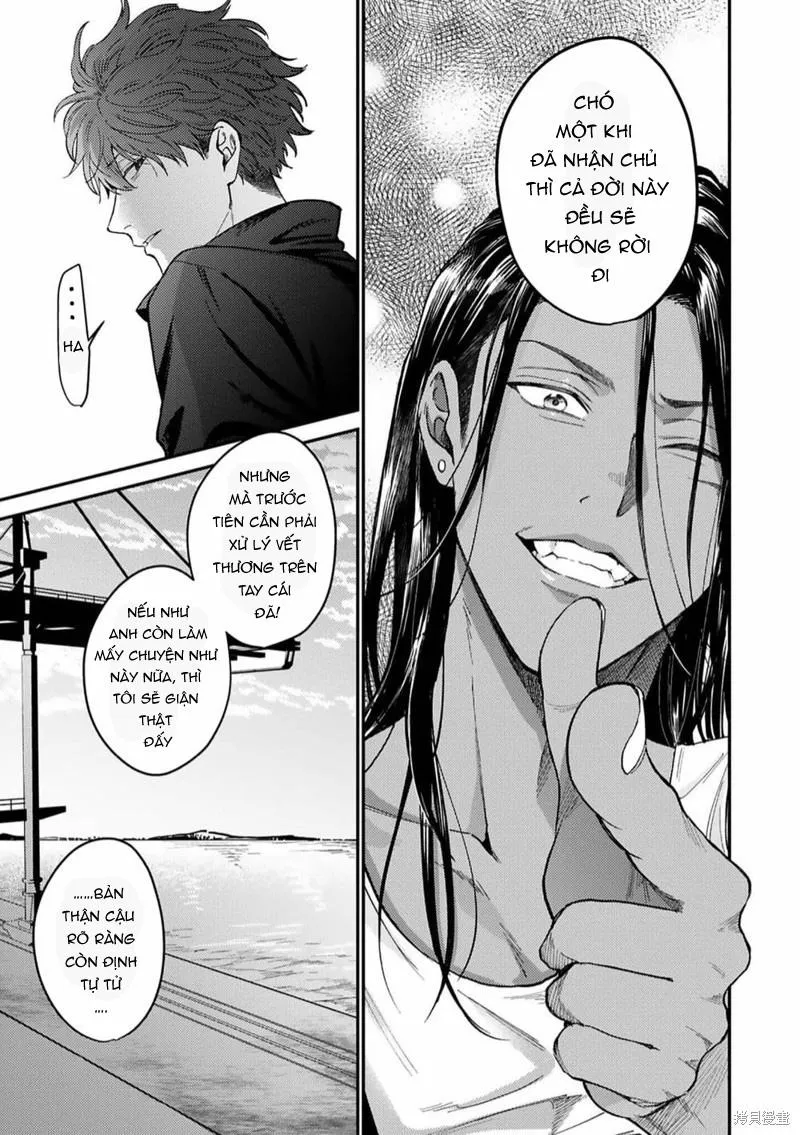 Risky dogs Chapter 5 Trang 19