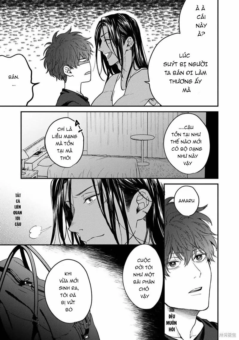 Risky dogs Chapter 5 Trang 23