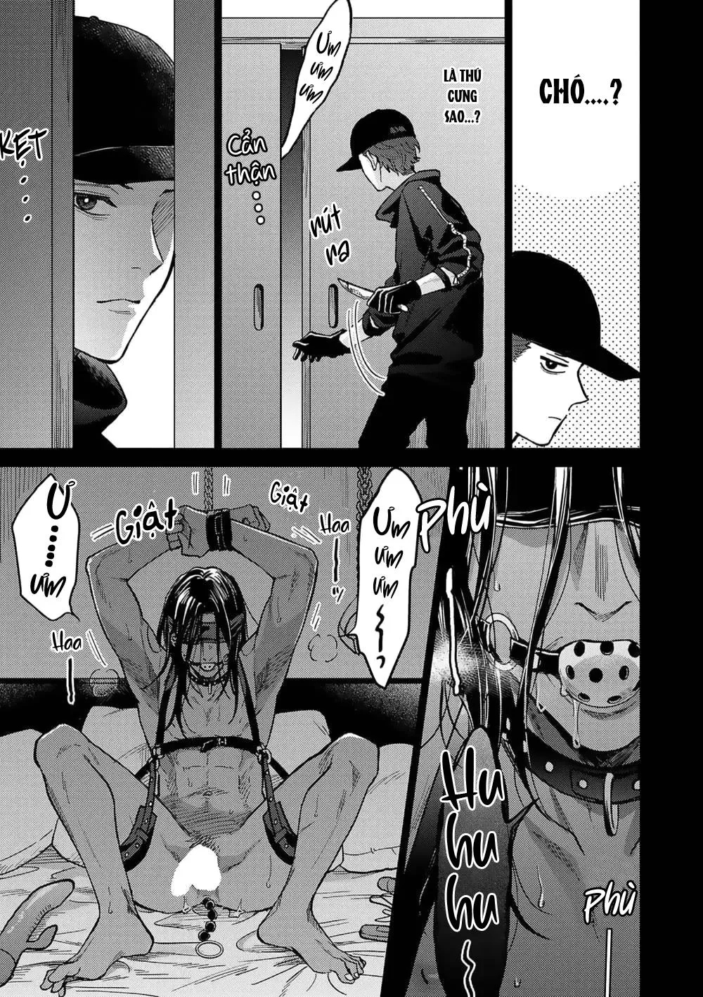 Risky dogs Chapter 1 Trang 21