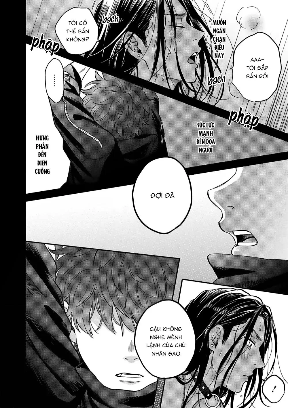 Risky dogs Chapter 1 Trang 34