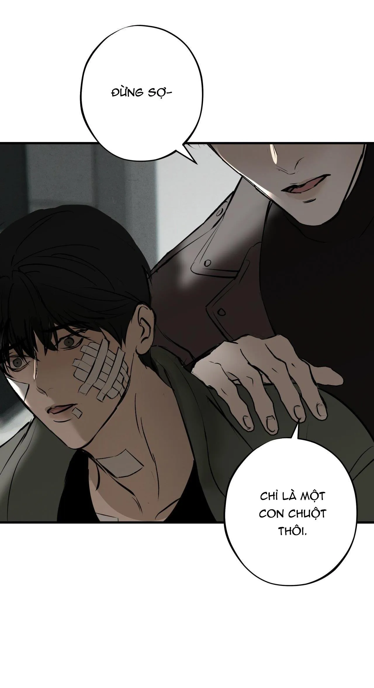 RISKY VICE Chapter 5 Trang 43