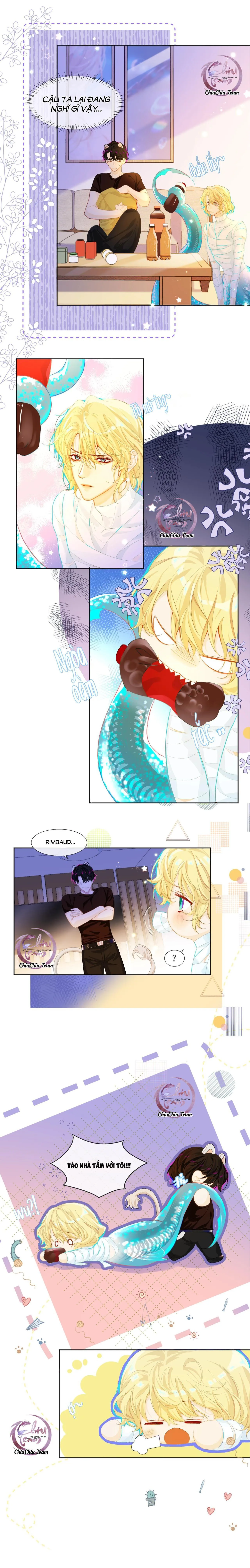 Rơi Vào Bẫy Nhân Ngư Chapter 2 Trang 7