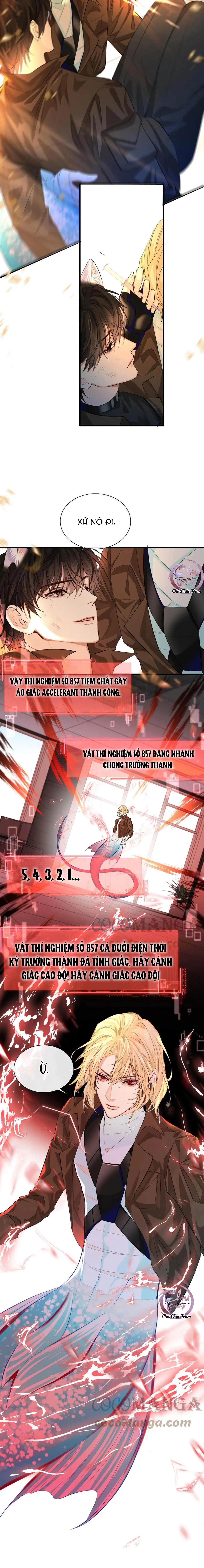 Rơi Vào Bẫy Nhân Ngư Chapter 18 Trang 7