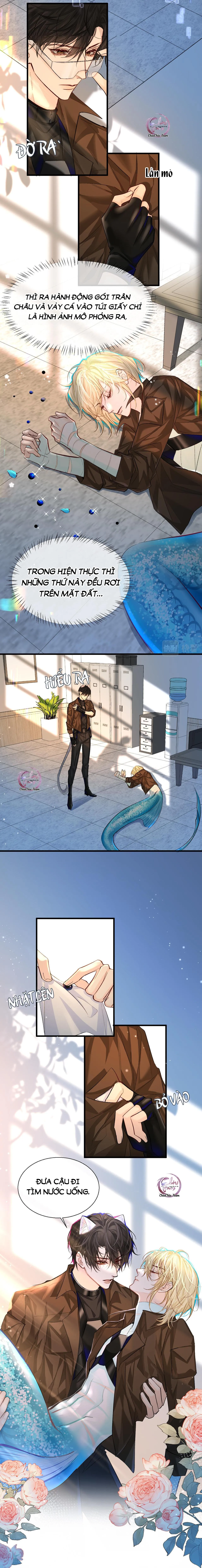 Rơi Vào Bẫy Nhân Ngư Chapter 20 Trang 4