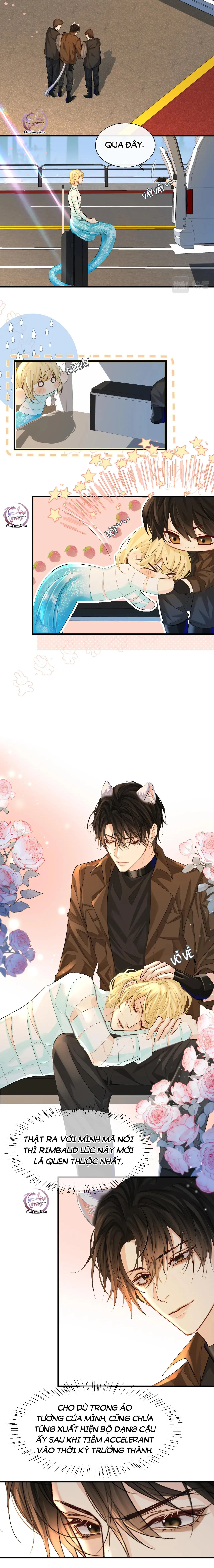 Rơi Vào Bẫy Nhân Ngư Chapter 22 Trang 3