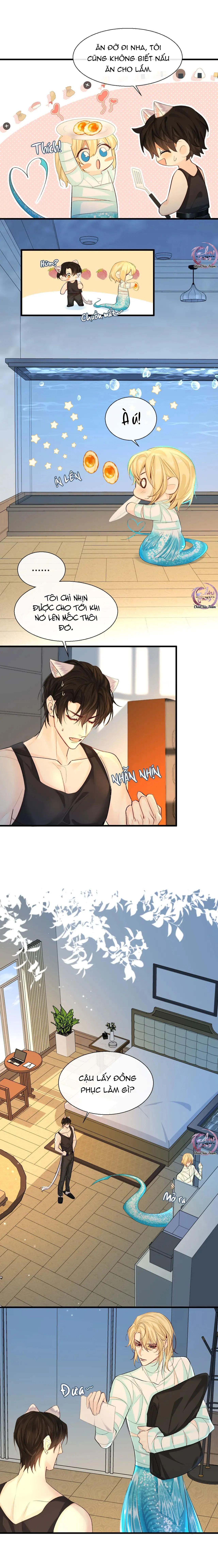 Rơi Vào Bẫy Nhân Ngư Chapter 24 Trang 3