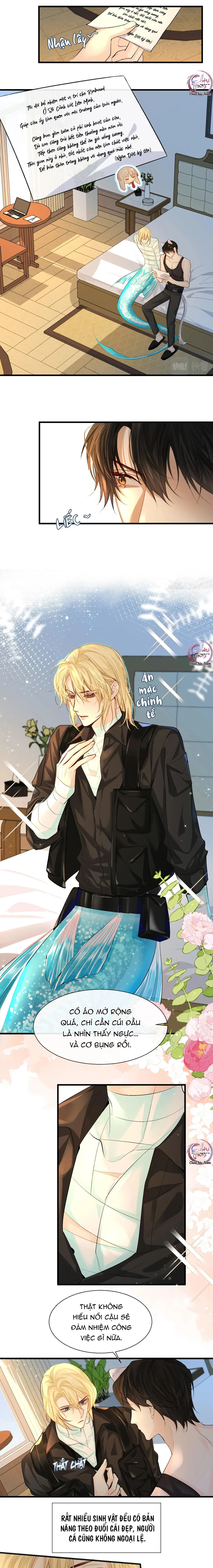 Rơi Vào Bẫy Nhân Ngư Chapter 24 Trang 4