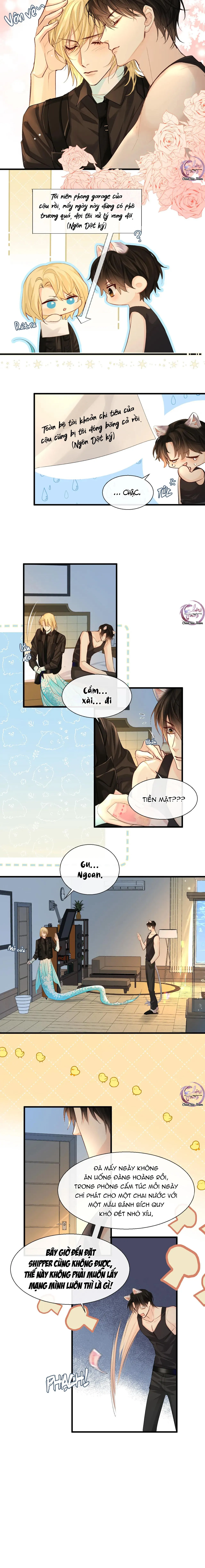 Rơi Vào Bẫy Nhân Ngư Chapter 24 Trang 6