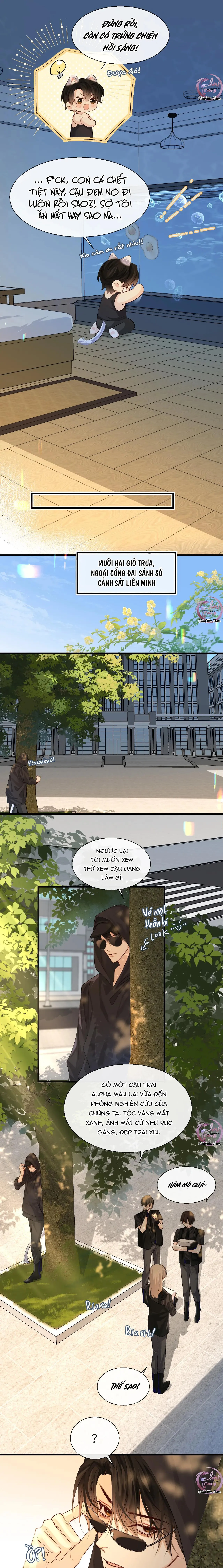 Rơi Vào Bẫy Nhân Ngư Chapter 24 Trang 7