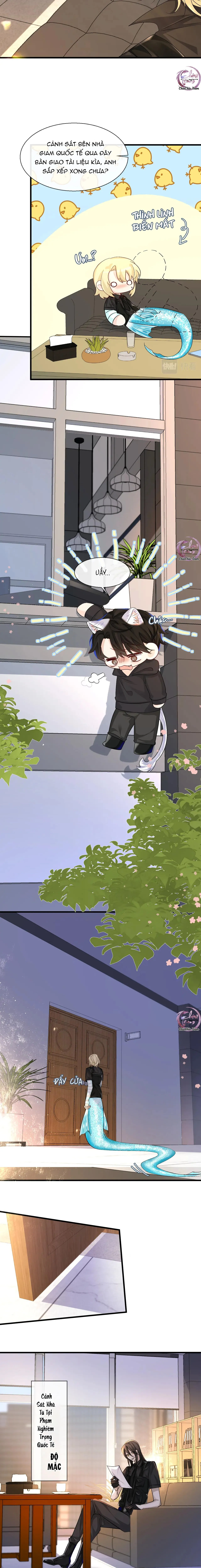 Rơi Vào Bẫy Nhân Ngư Chapter 26 Trang 4