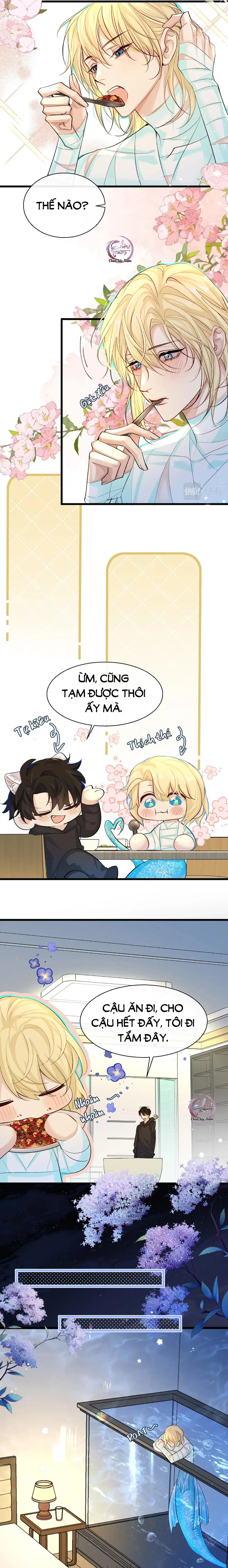 Rơi Vào Bẫy Nhân Ngư Chapter 27 Trang 4