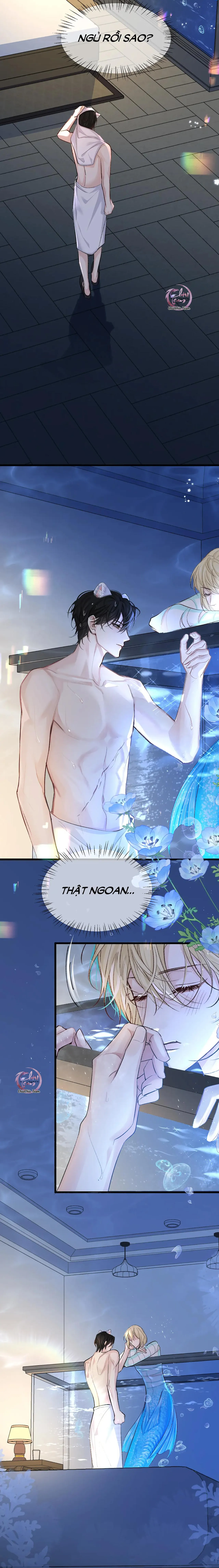 Rơi Vào Bẫy Nhân Ngư Chapter 27 Trang 5