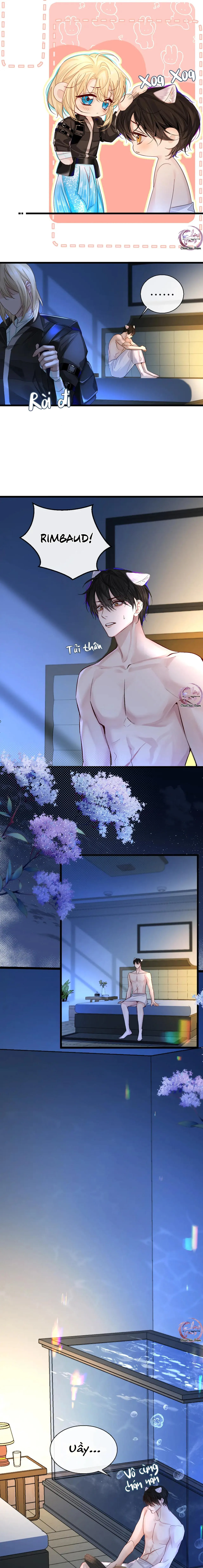 Rơi Vào Bẫy Nhân Ngư Chapter 28 Trang 4