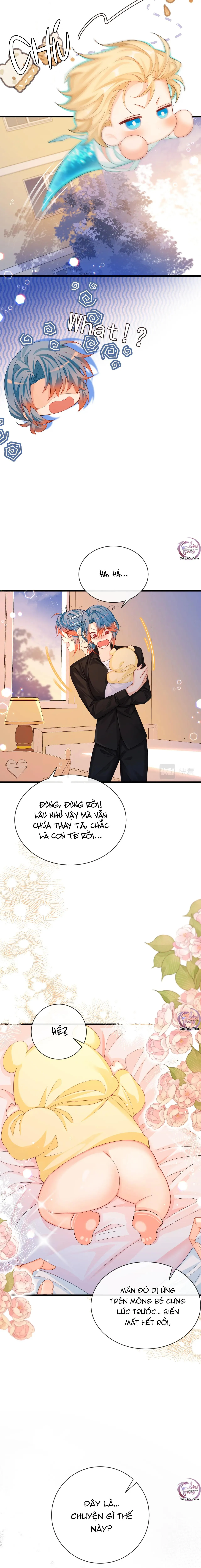 Rơi Vào Bẫy Nhân Ngư Chapter 43 Trang 5