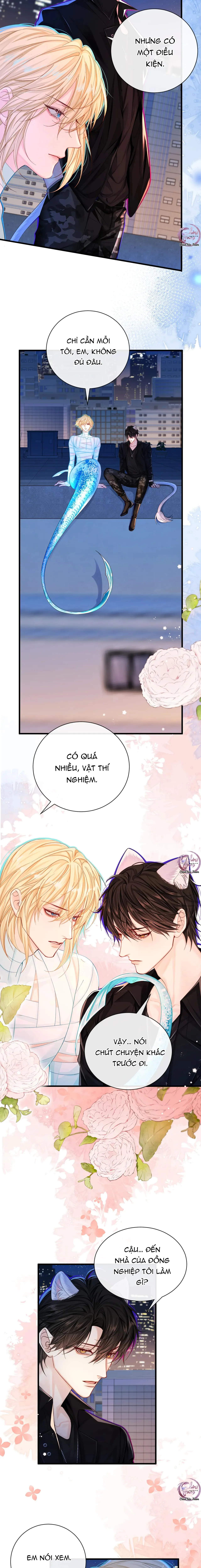 Rơi Vào Bẫy Nhân Ngư Chapter 43 Trang 8