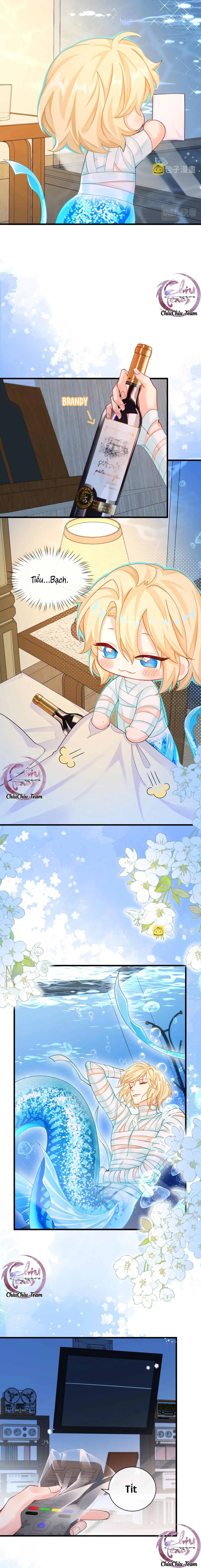 Rơi Vào Bẫy Nhân Ngư Chapter 47 Trang 12