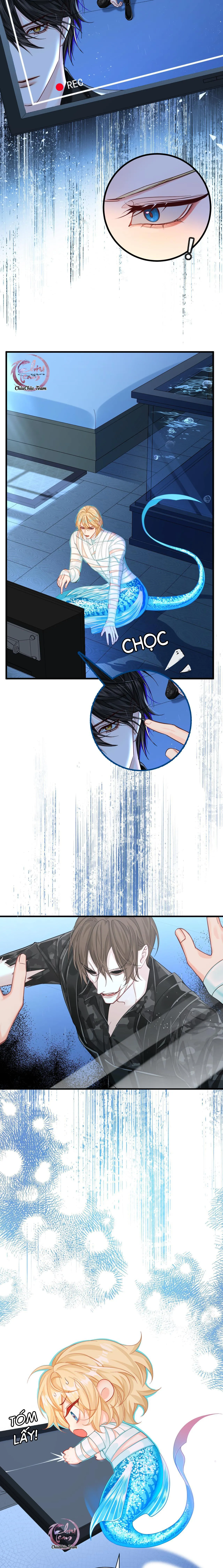 Rơi Vào Bẫy Nhân Ngư Chapter 49 Trang 13