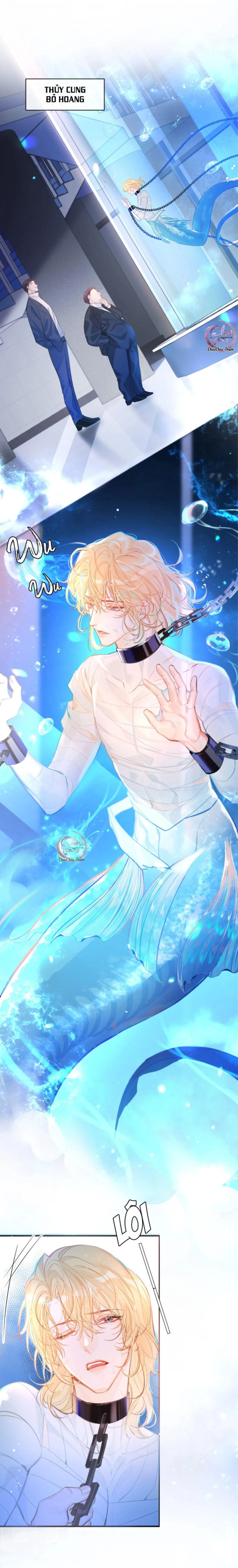 Rơi Vào Bẫy Nhân Ngư Chapter 1 Trang 6