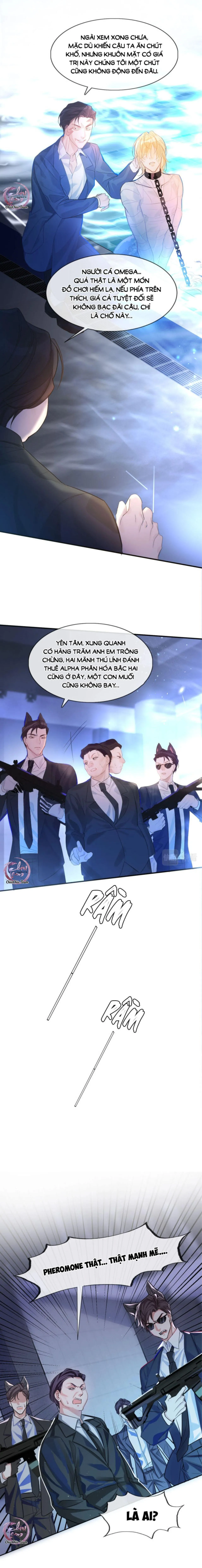 Rơi Vào Bẫy Nhân Ngư Chapter 1 Trang 7