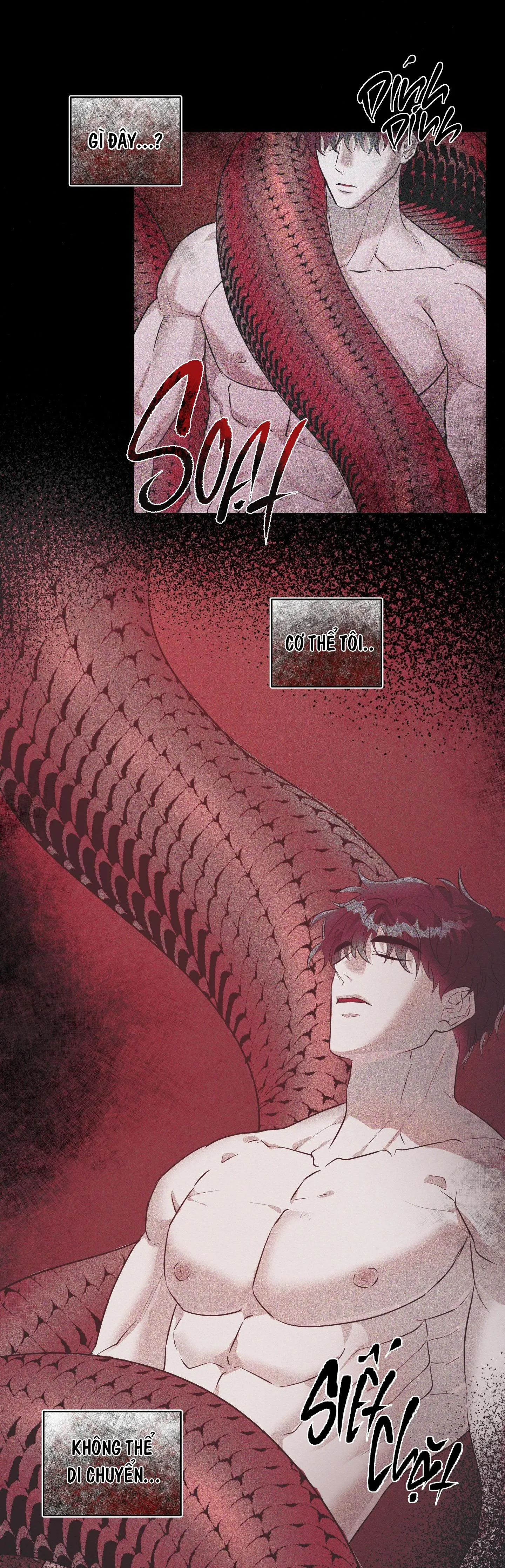 RƠI VÀO VỰC THẲM CỦA RẮN Chapter 1 Trang 3