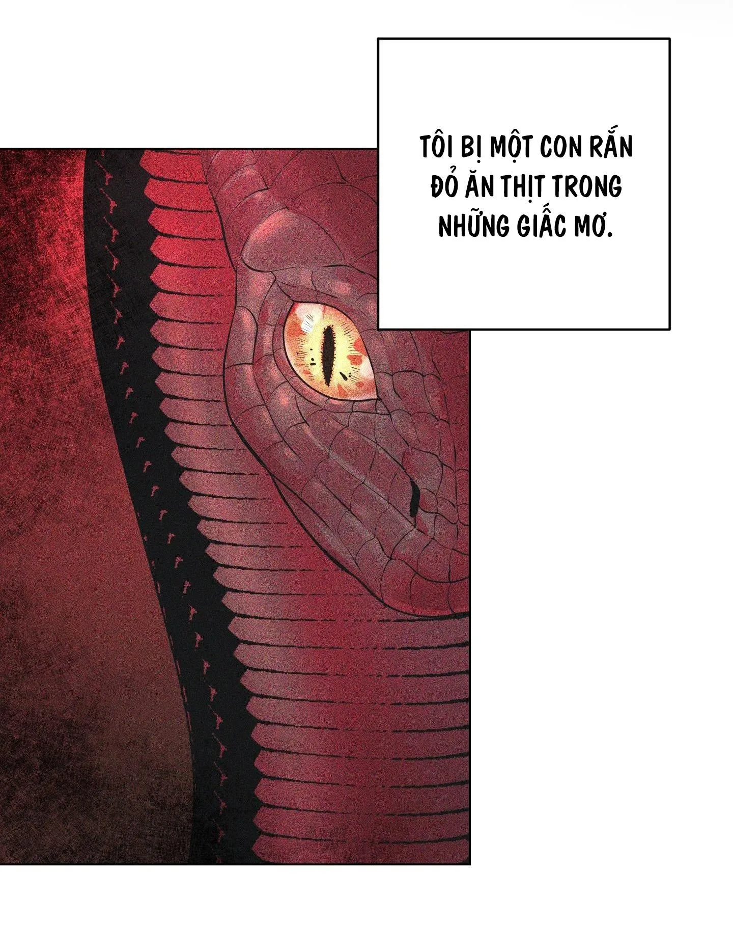 RƠI VÀO VỰC THẲM CỦA RẮN Chapter 1 Trang 12