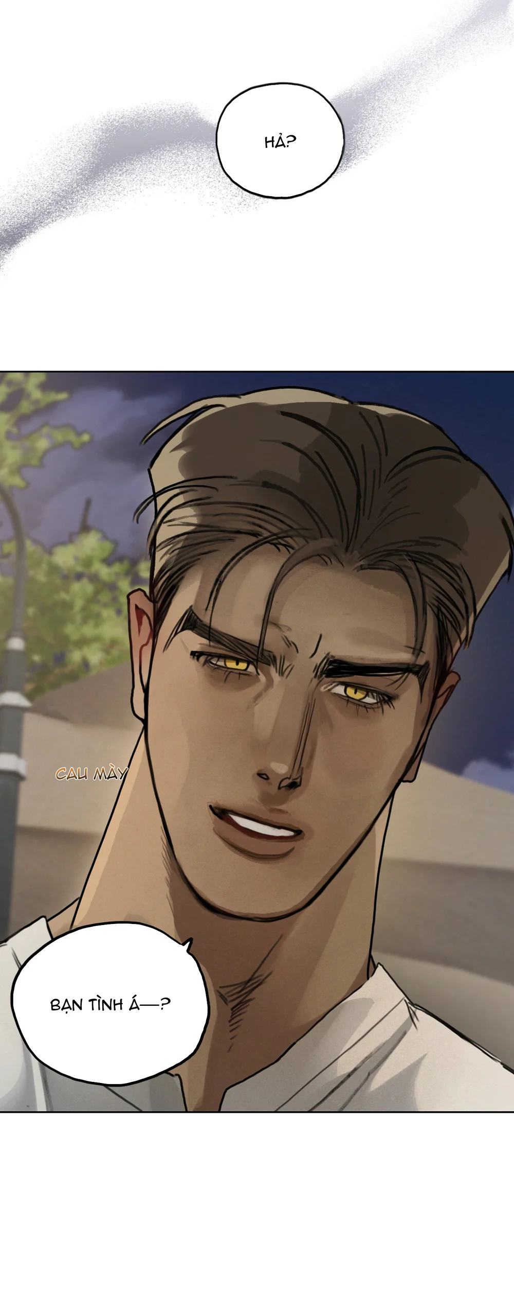 GIẤC MỘNG DÀI Chapter 9 Trang 8