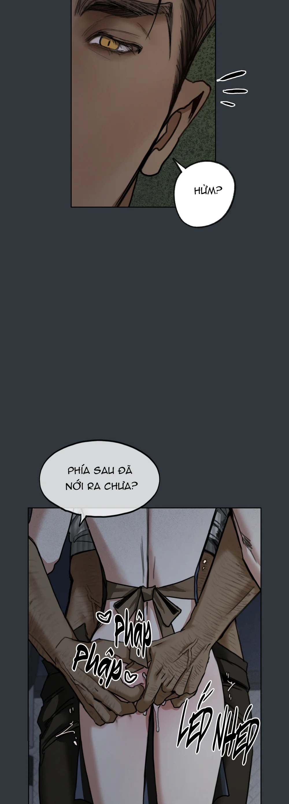 GIẤC MỘNG DÀI Chapter 13 Trang 26