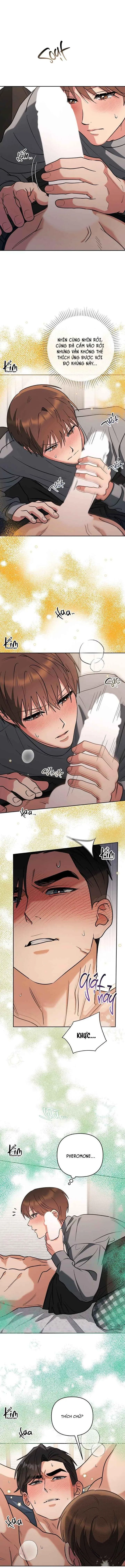 ROMANCE NOT ROMANTIC Chapter 32 Trang 13