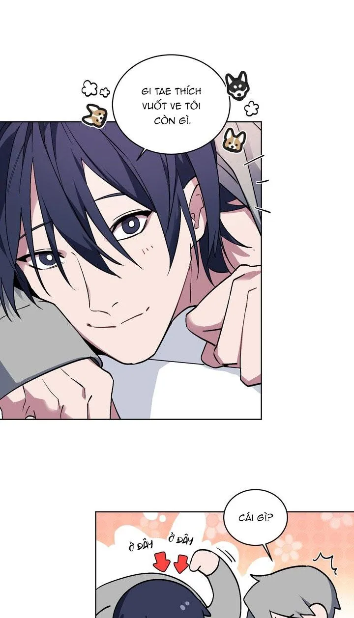 Room Without Windows Chapter 13 Trang 13