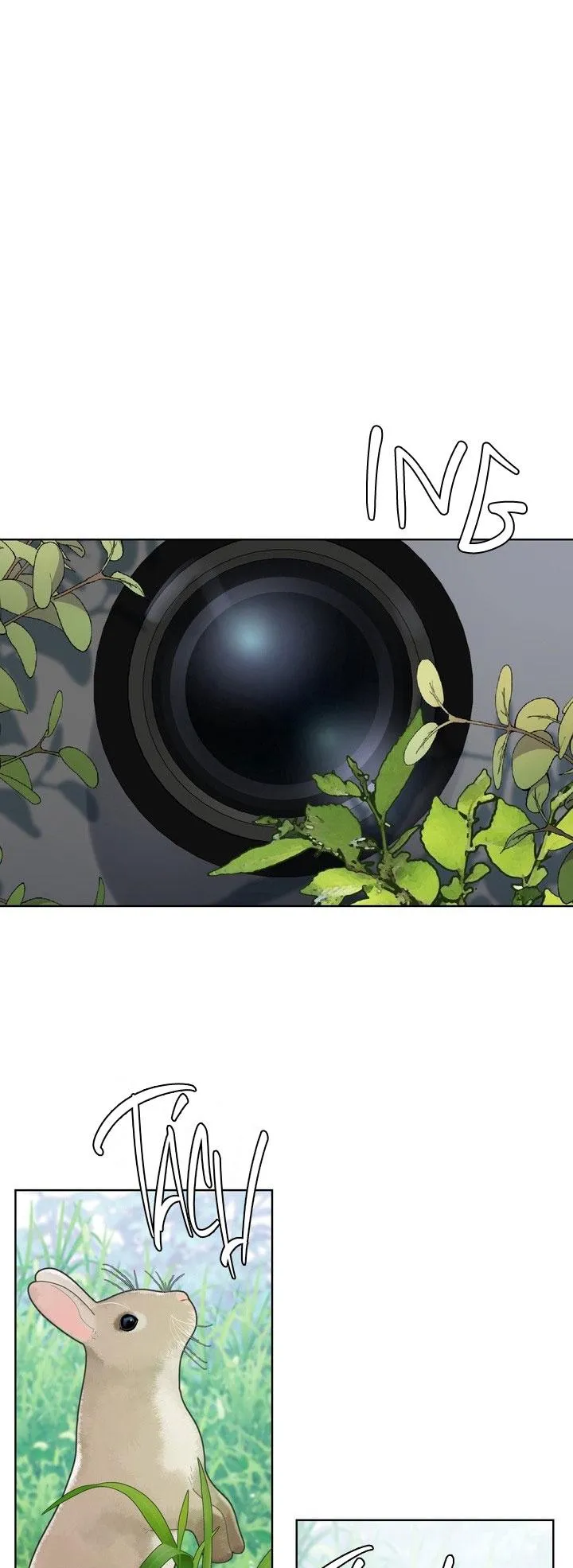 Room Without Windows Chapter 17 Trang 15