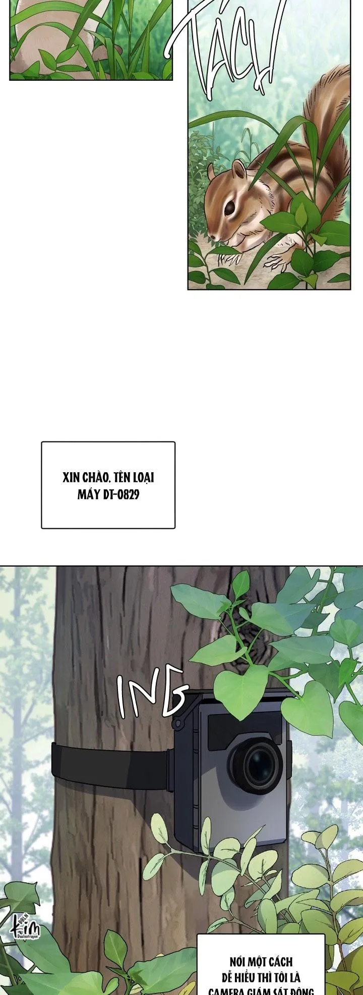 Room Without Windows Chapter 17 Trang 16