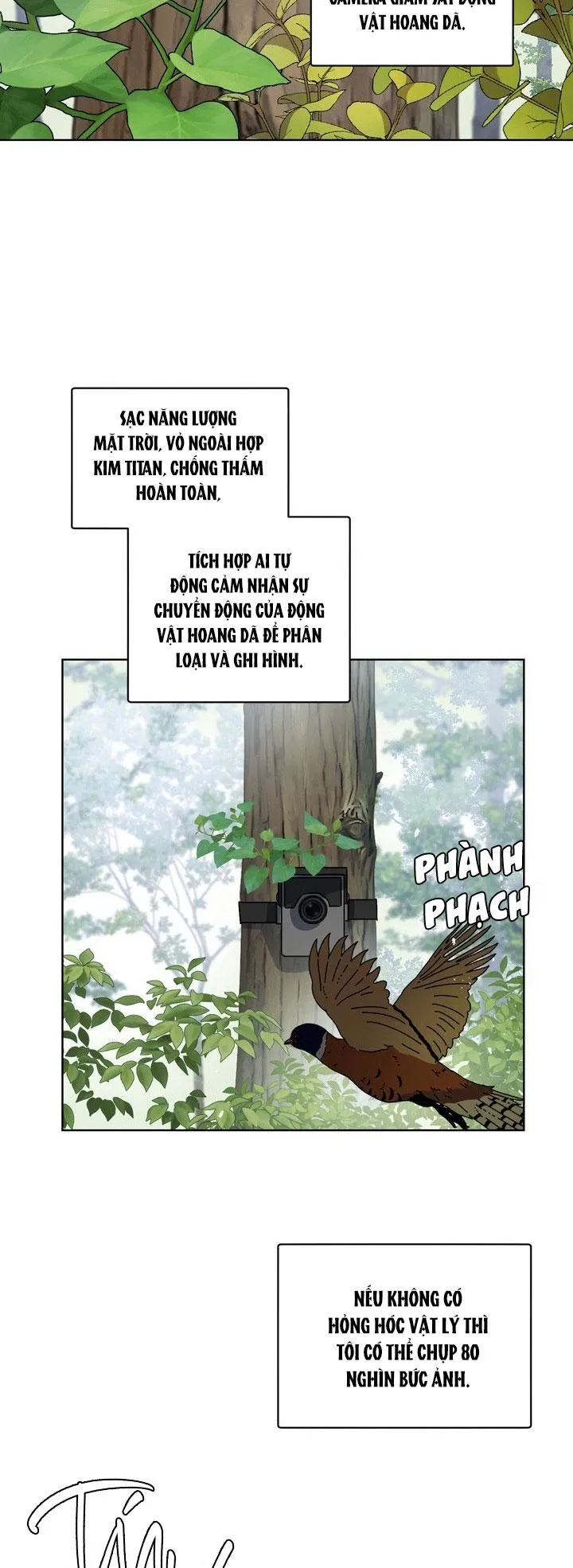 Room Without Windows Chapter 17 Trang 17